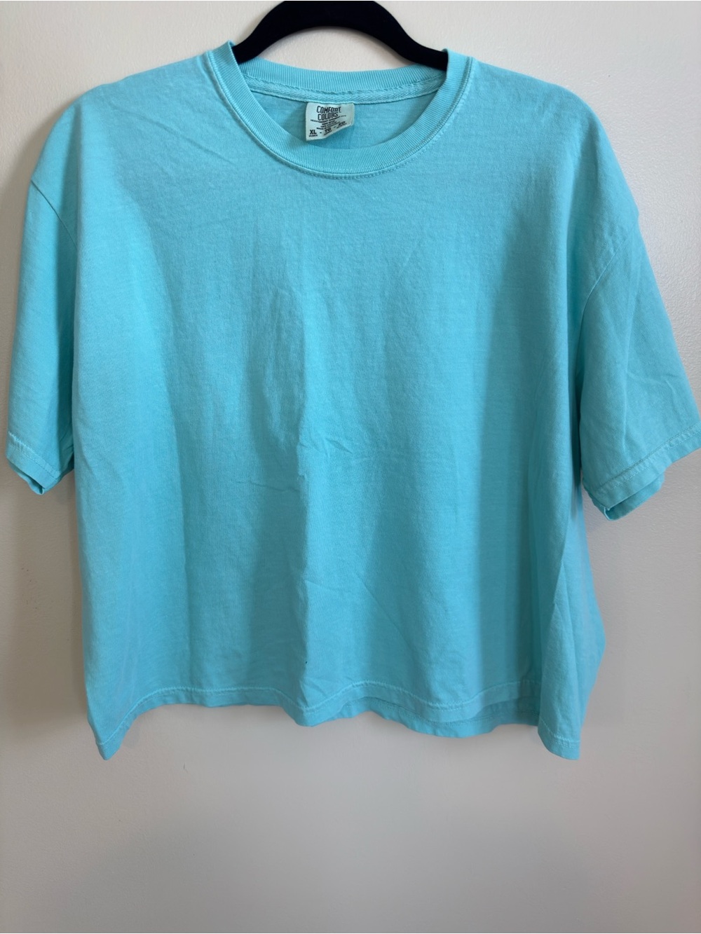 Comfort Colors Crewneck Tee Cropped